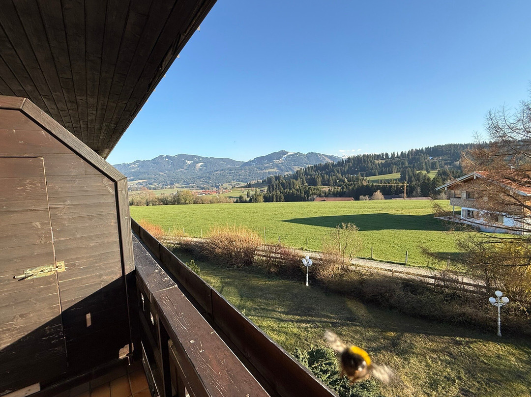 米特堡卫塔酒店主图