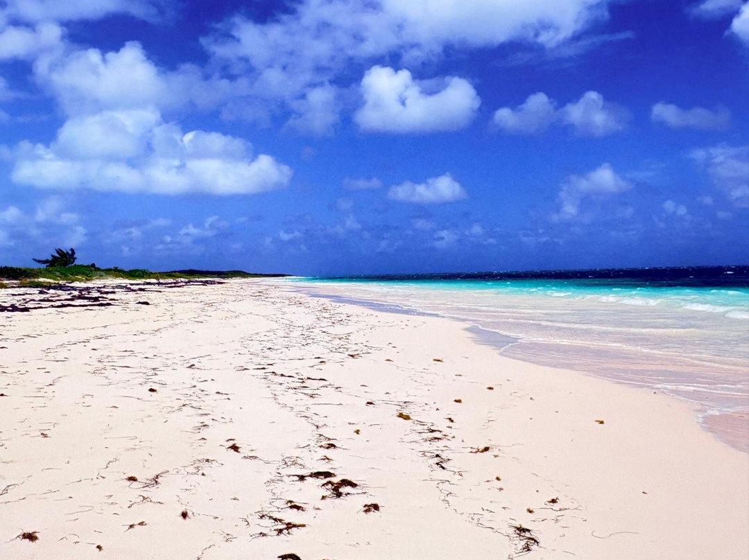 K's Scooter Rental-San Salvador必去景点