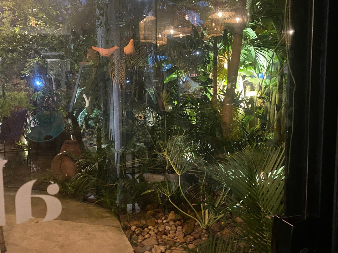 Ville Des Plantes Open Mall-Joao Pessoa必去景点