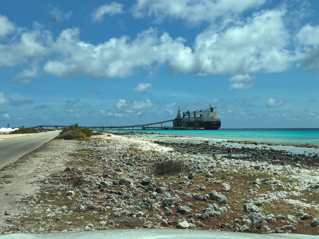 Salt Pier-Kralendijk必去景点