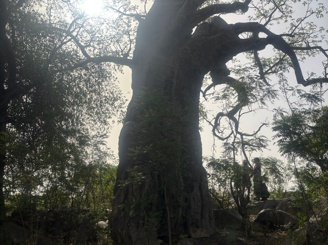 See Ghana Dmc-阿克拉必去景点