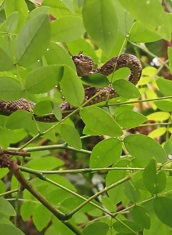 Matt's Fishing & Tours-萨迪纳尔必去景点