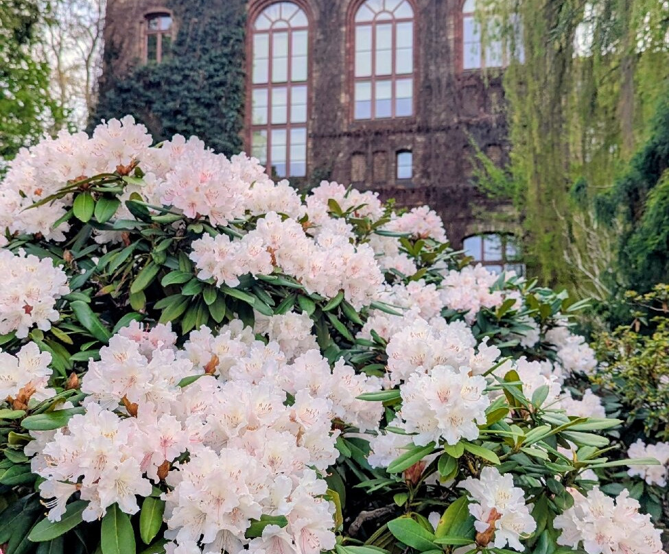 Botanical Garden of the University of Wrocław-弗罗茨瓦夫必去景点