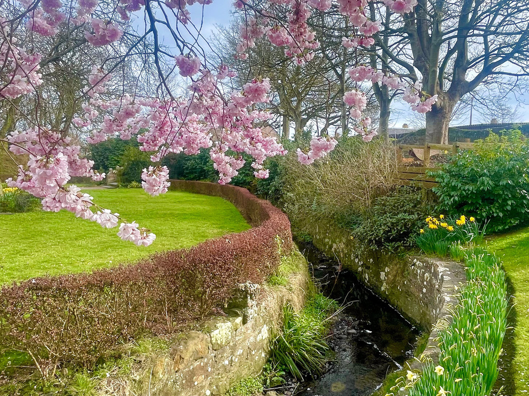 Victoria Gardens-Anstruther必去景点