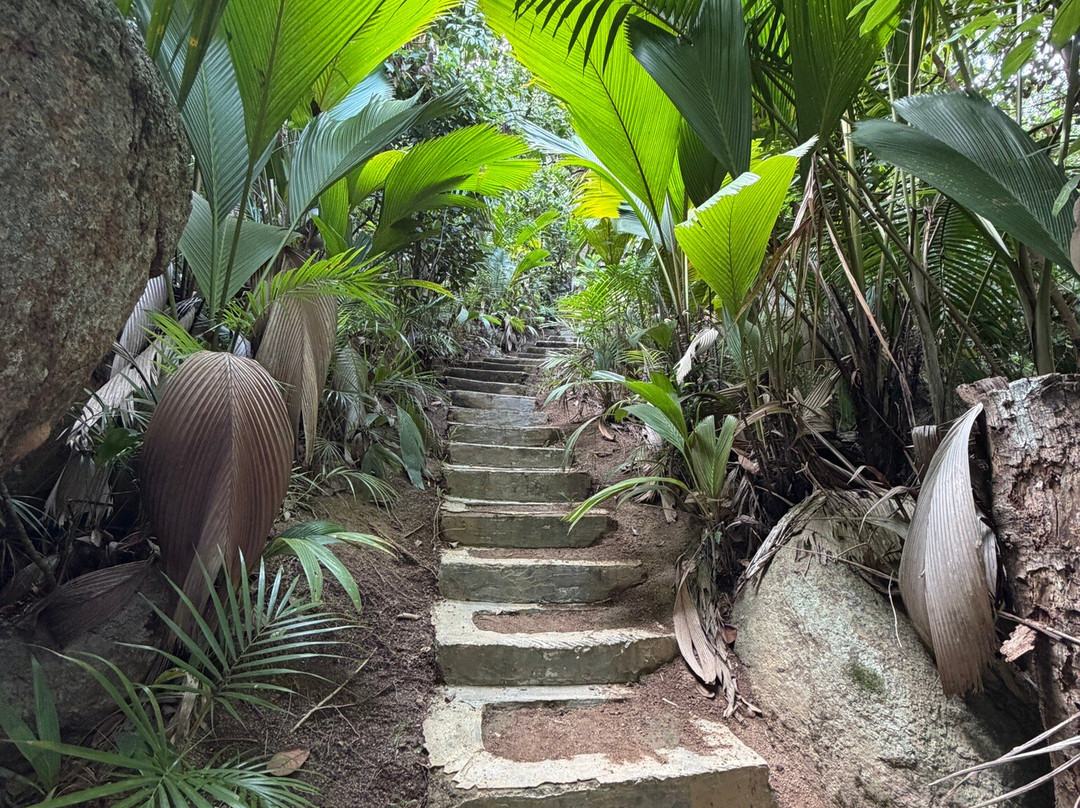 Edelweiss Tours, Seychellen-普拉兰岛必去景点