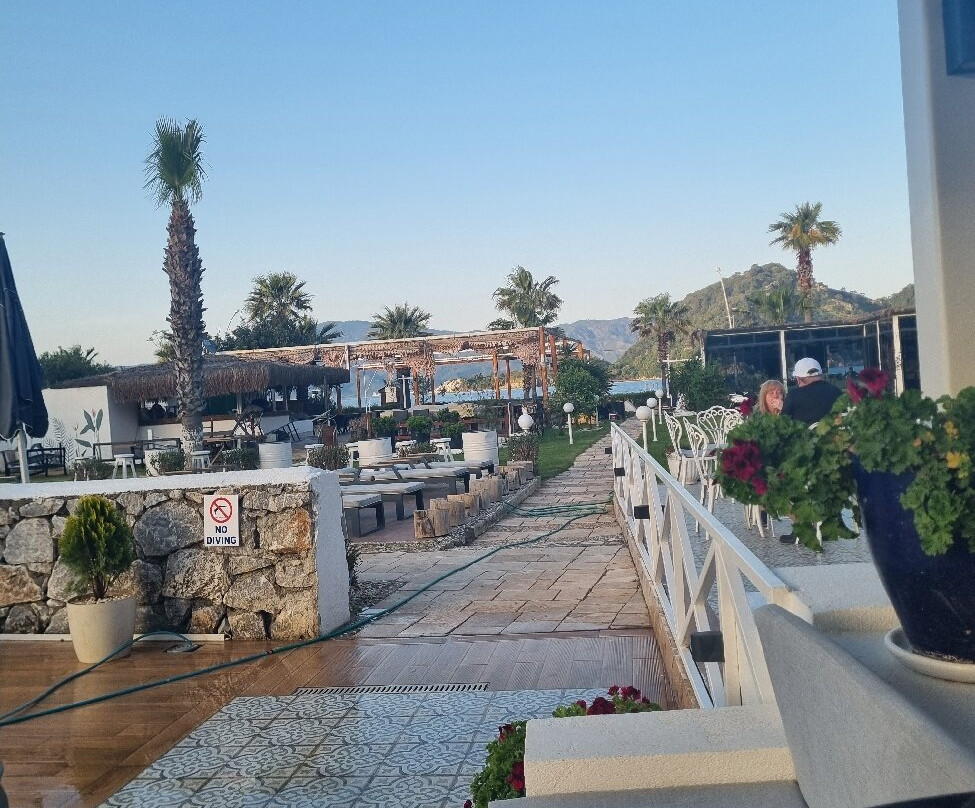 卡萨布兰卡海滩酒店 - 限成人主图