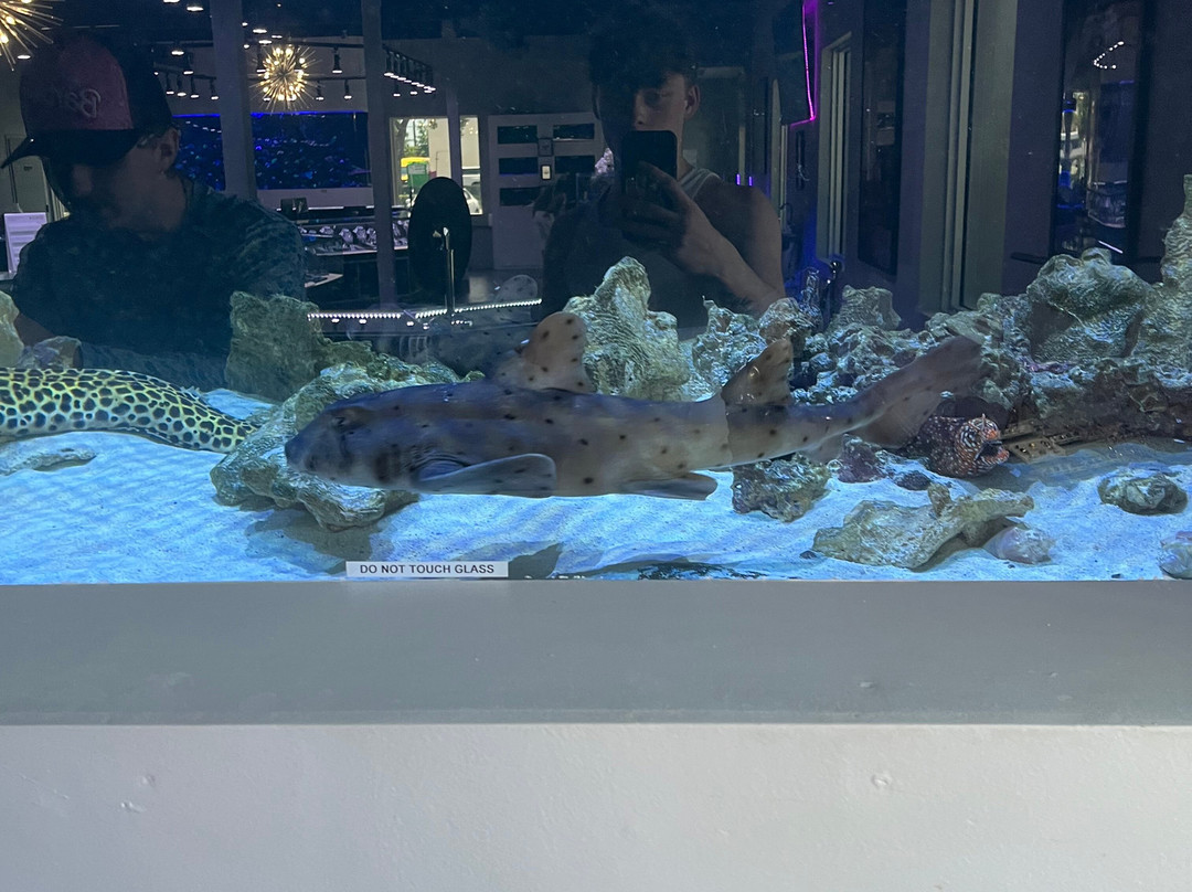 Boca Aquarium-博卡拉顿必去景点