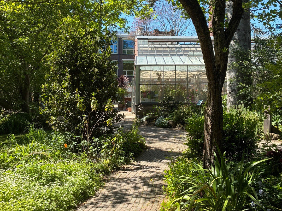 Universiteitsmuseum Utrecht-乌特勒支必去景点