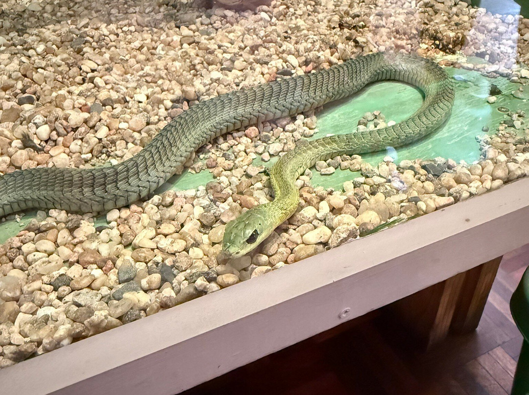 Snake Park-斯瓦科普蒙德必去景点