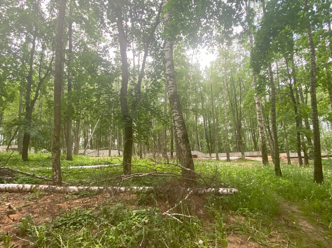 Park Beryozovaya Roshha-Dmitrov必去景点
