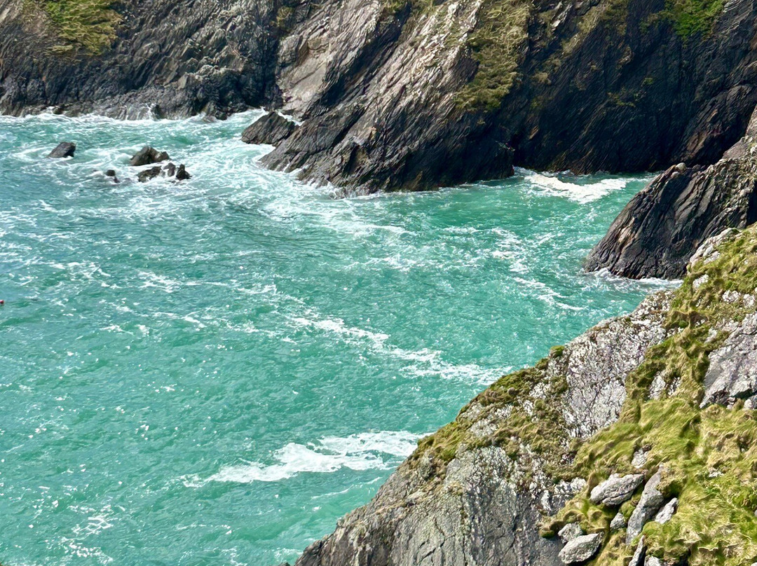 Connect the Dots Tours of Ireland-都柏林必去景点