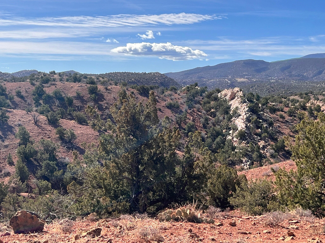 New Mexico Jeep Tours-阿尔伯克基必去景点