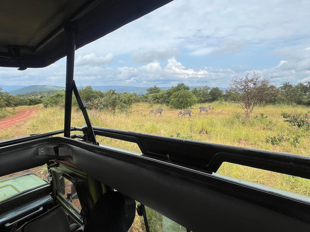 Akagera National Park-Eastern Province必去景点