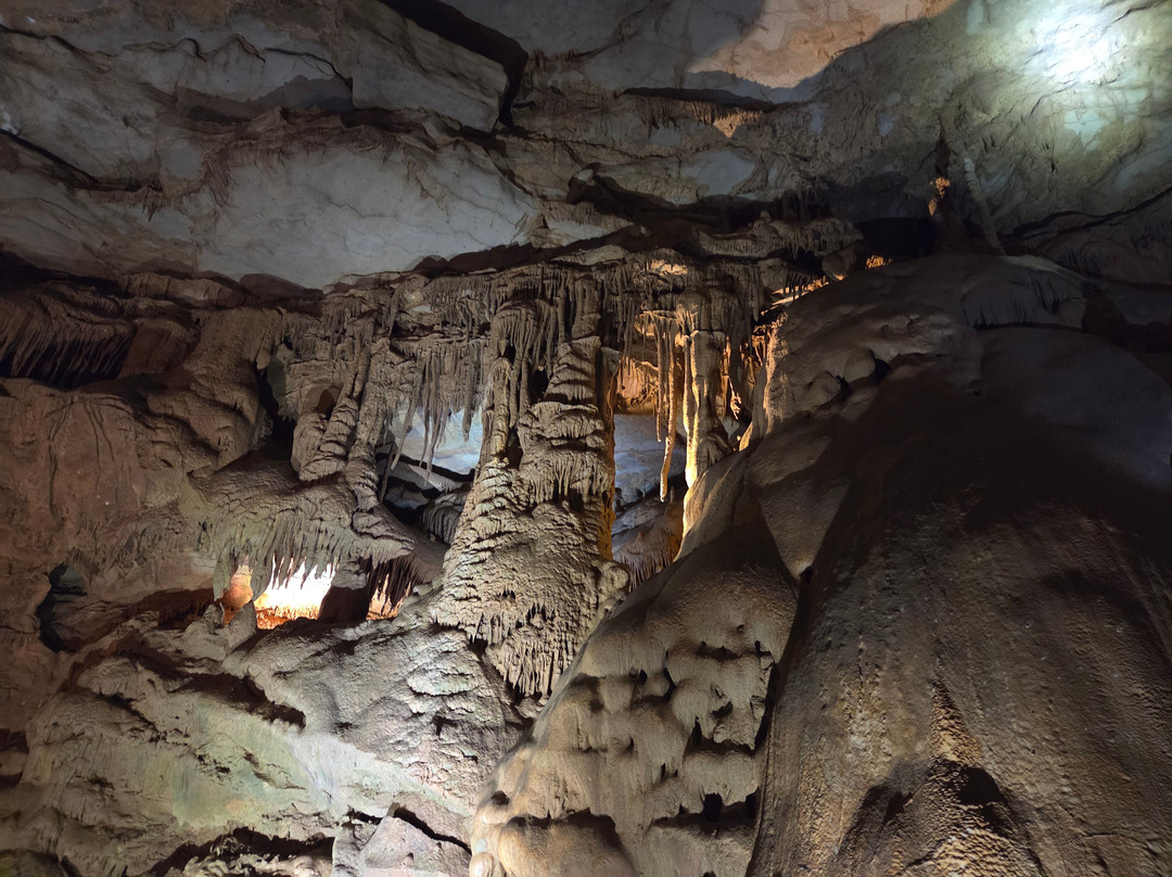 Cathedral Caverns State Park-Woodville必去景点