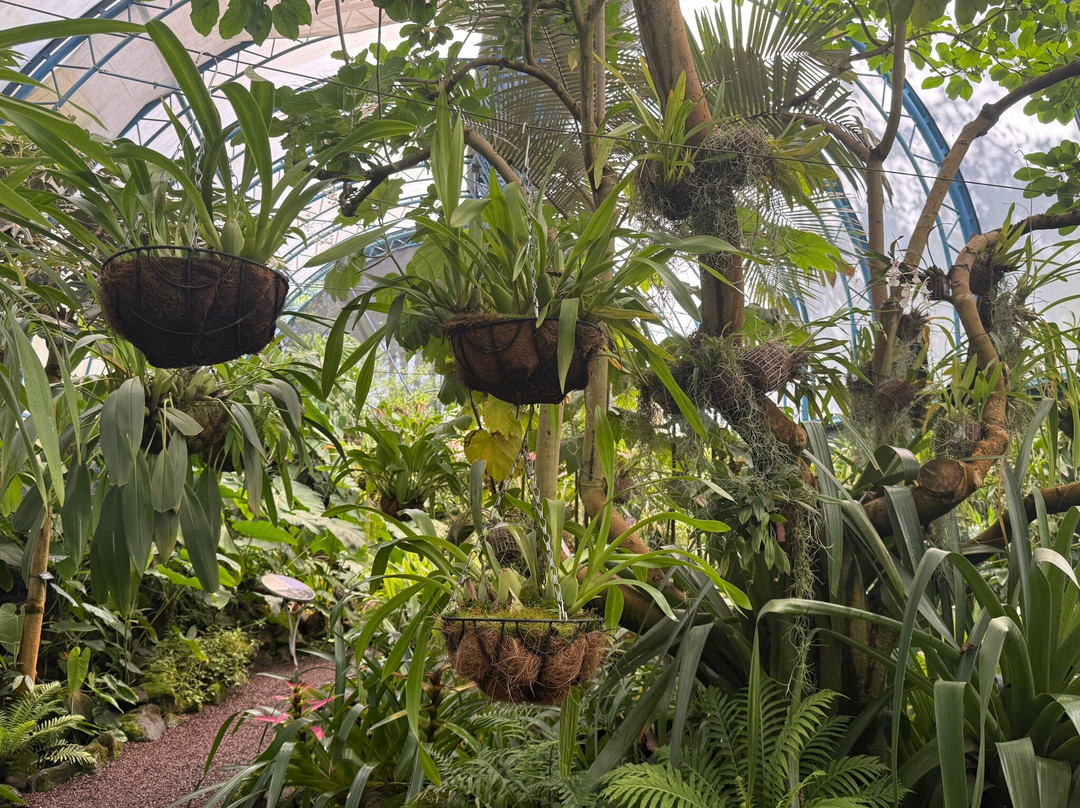 Jardín Botánico de Quito-基多必去景点