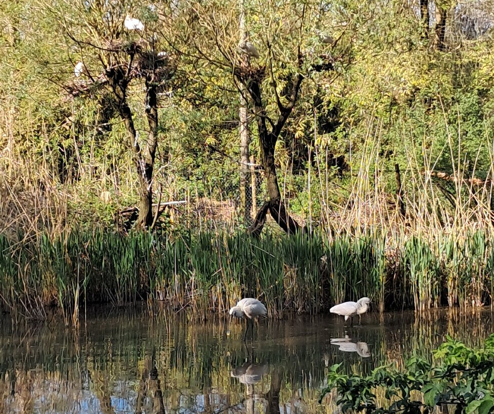 Oasi di Sant'Alessio-Sant'Alessio con Vialone必去景点