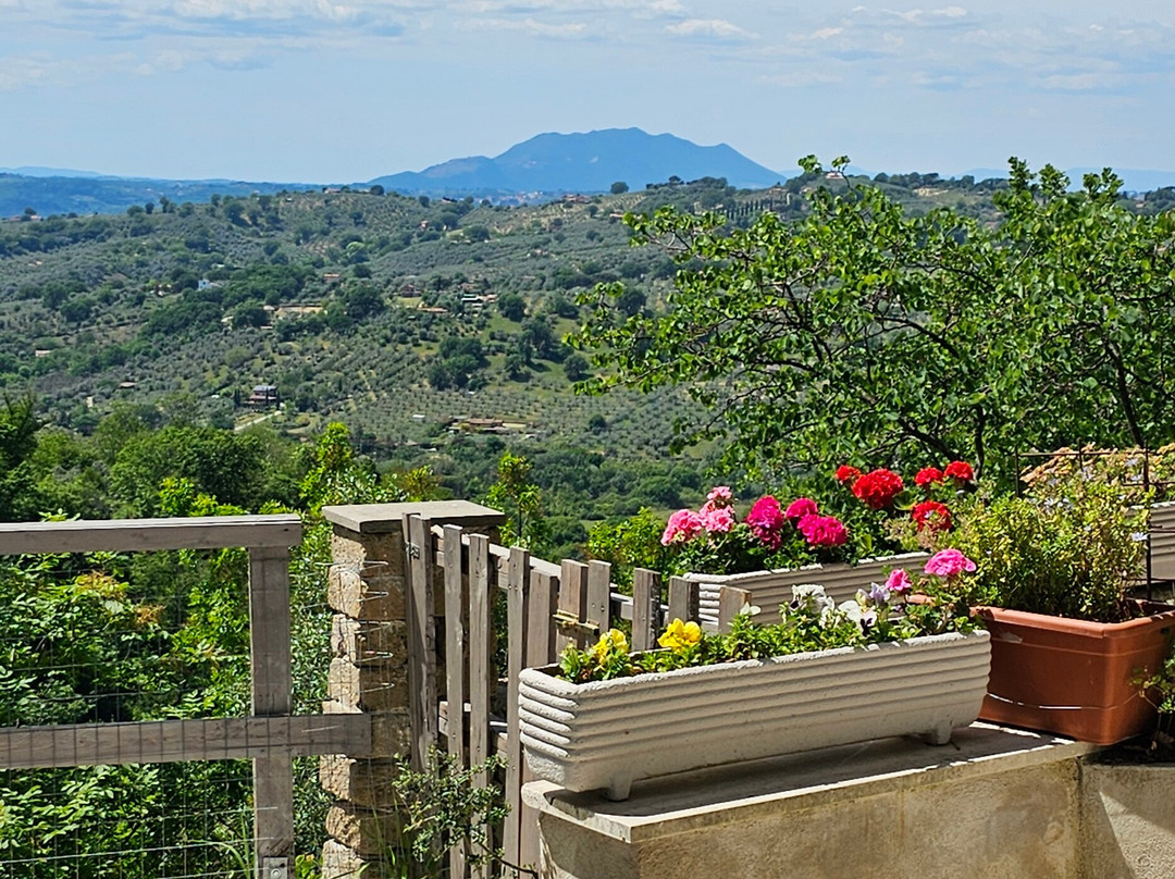 Convivio Rome Italian One Day Cooking Holidays-Toffia必去景点