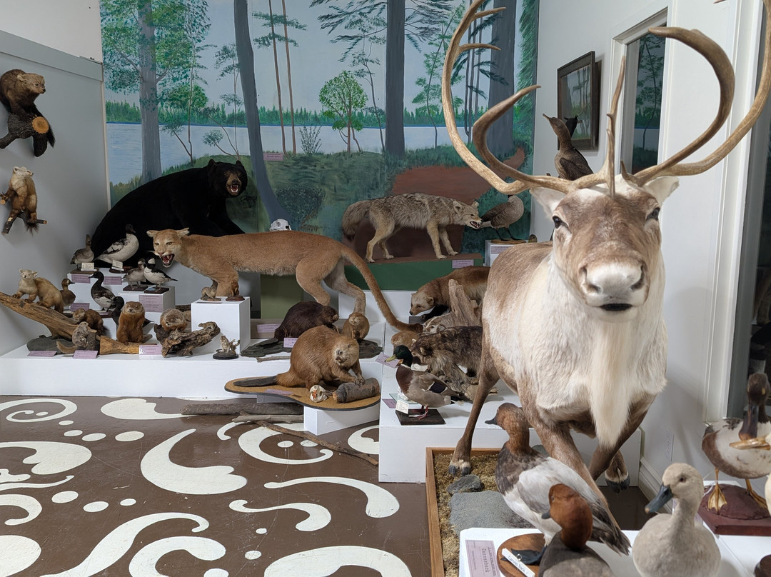 Brandon General Museum and Archive-布兰登必去景点