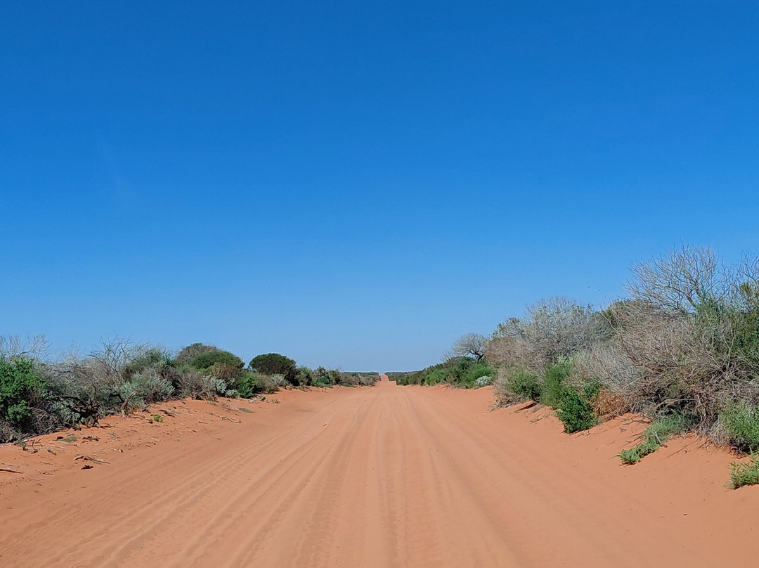 Shark Bay Coastal Tours-德纳姆必去景点