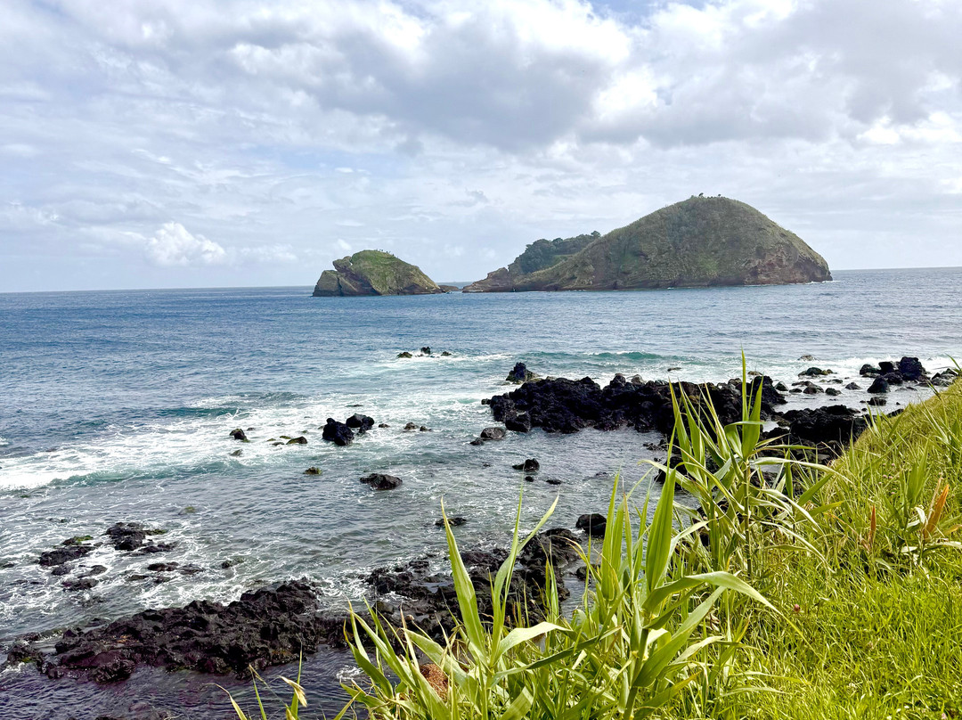 Pedro Ferreira Azores Tours-蓬塔德尔加达必去景点