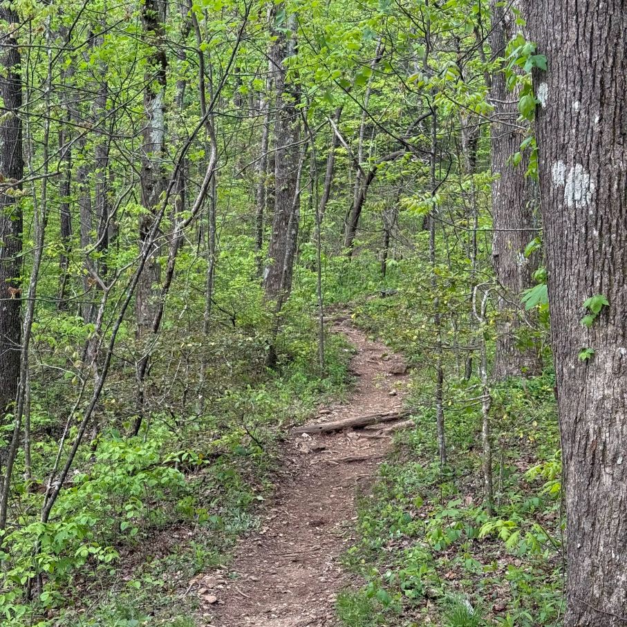 Len Foote Hike Inn-旅行者