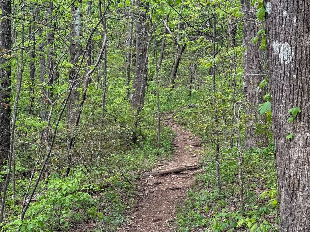 Len Foote Hike Inn主图