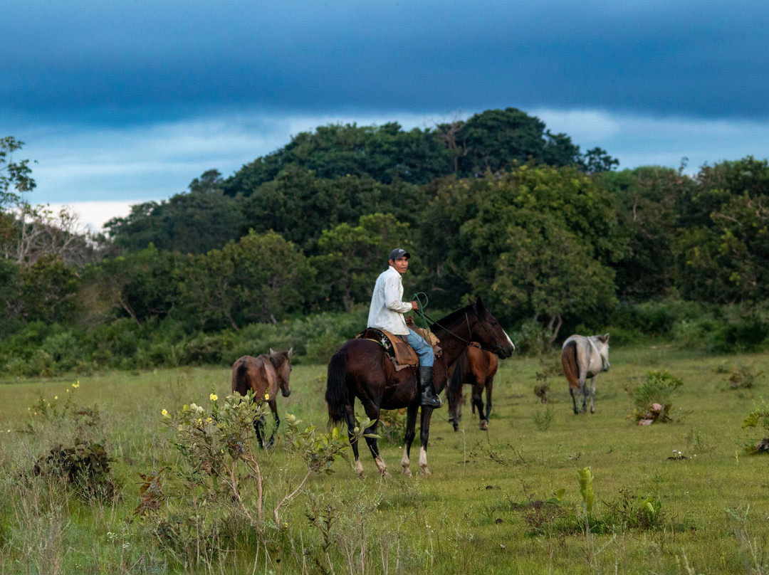 Finca Cacarachi-San Ignacio de Velasco必去景点