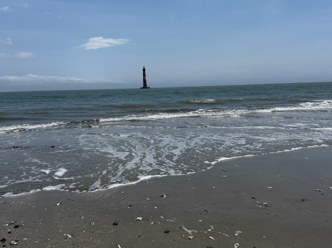 Charleston Fossil Adventures-查尔斯顿必去景点