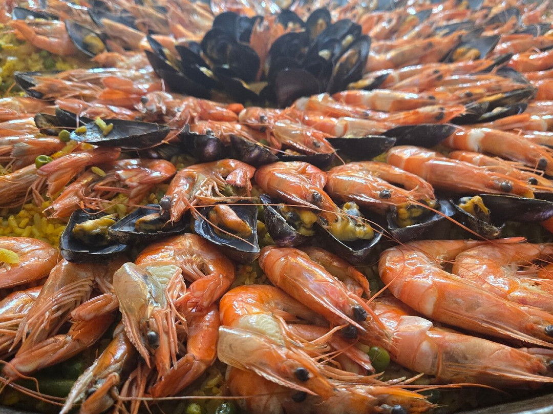 麦地那日光浴及海水浴酒店主图