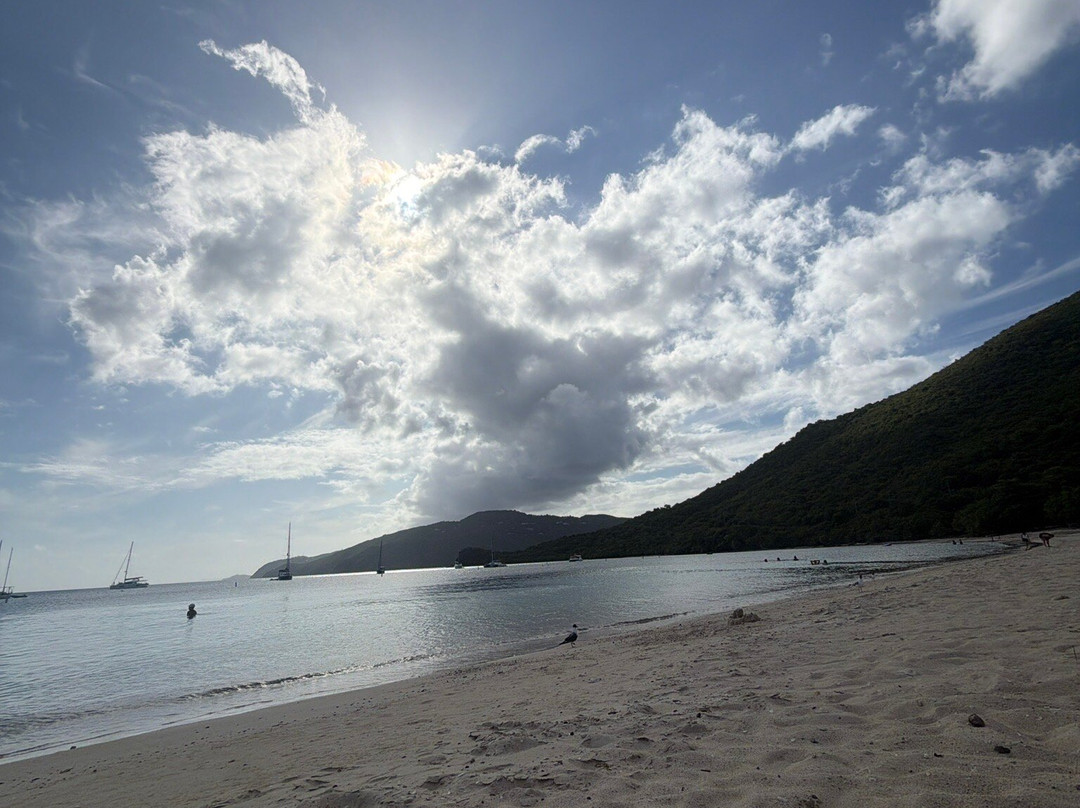 Brewer's Bay-圣 托马斯必去景点