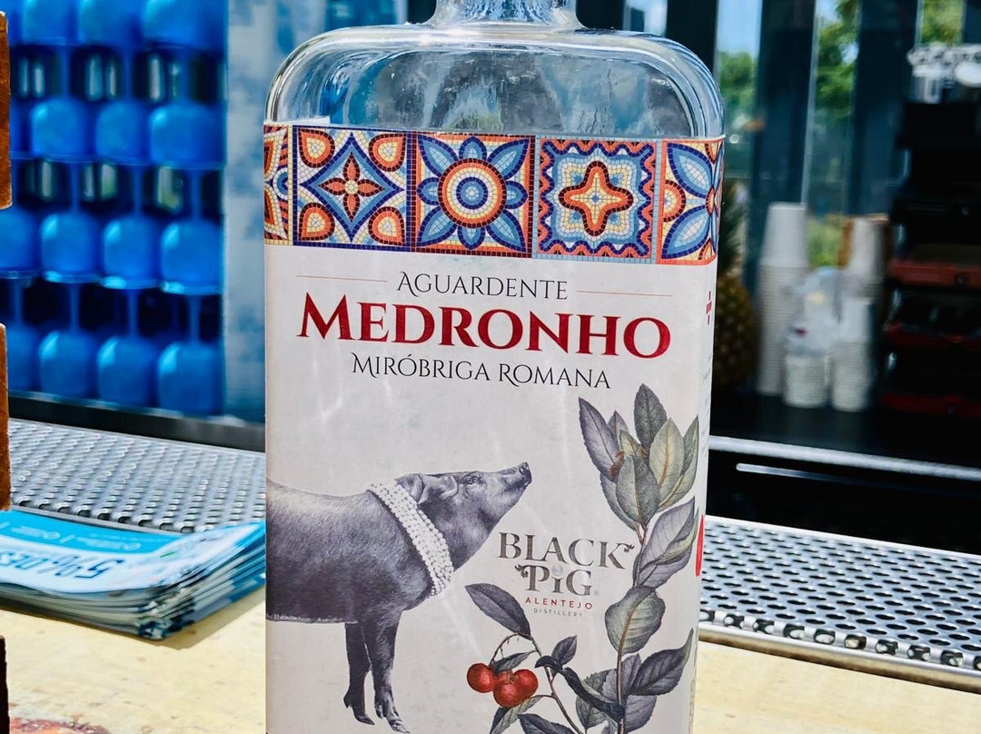 Black Pig Gin-Santiago do Cacem必去景点