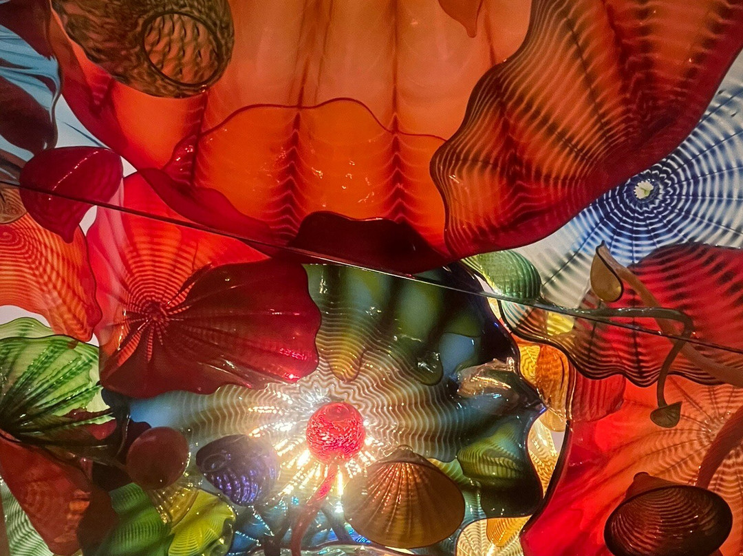 Chihuly Collection-圣彼德斯堡必去景点