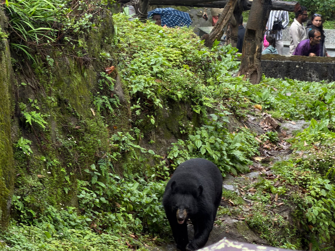 Padmaja Naidu Himalayan Zoological Park-大吉岭必去景点