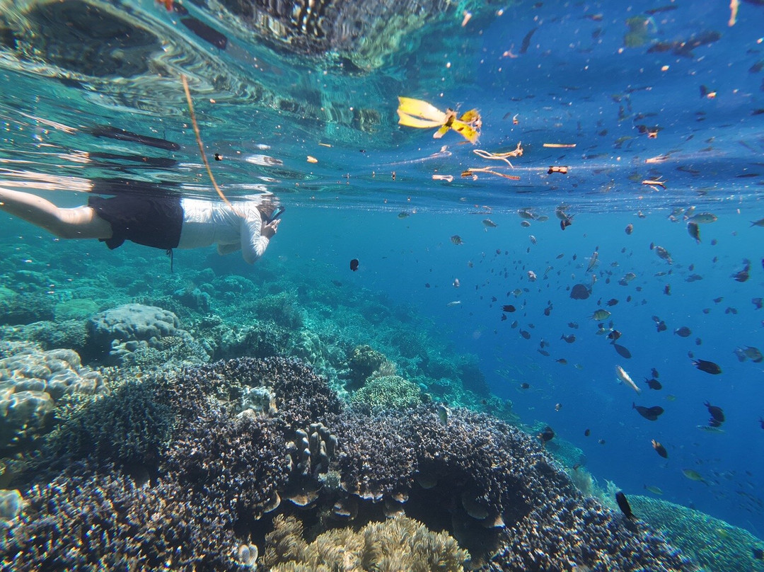 Bunaken National Marine Park-布纳肯岛必去景点