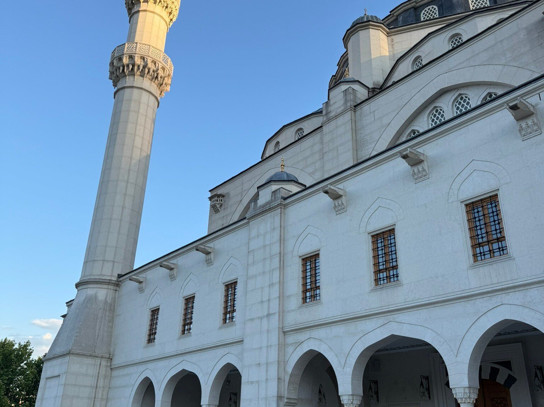 Great mosque of Tirana-地拉那必去景点