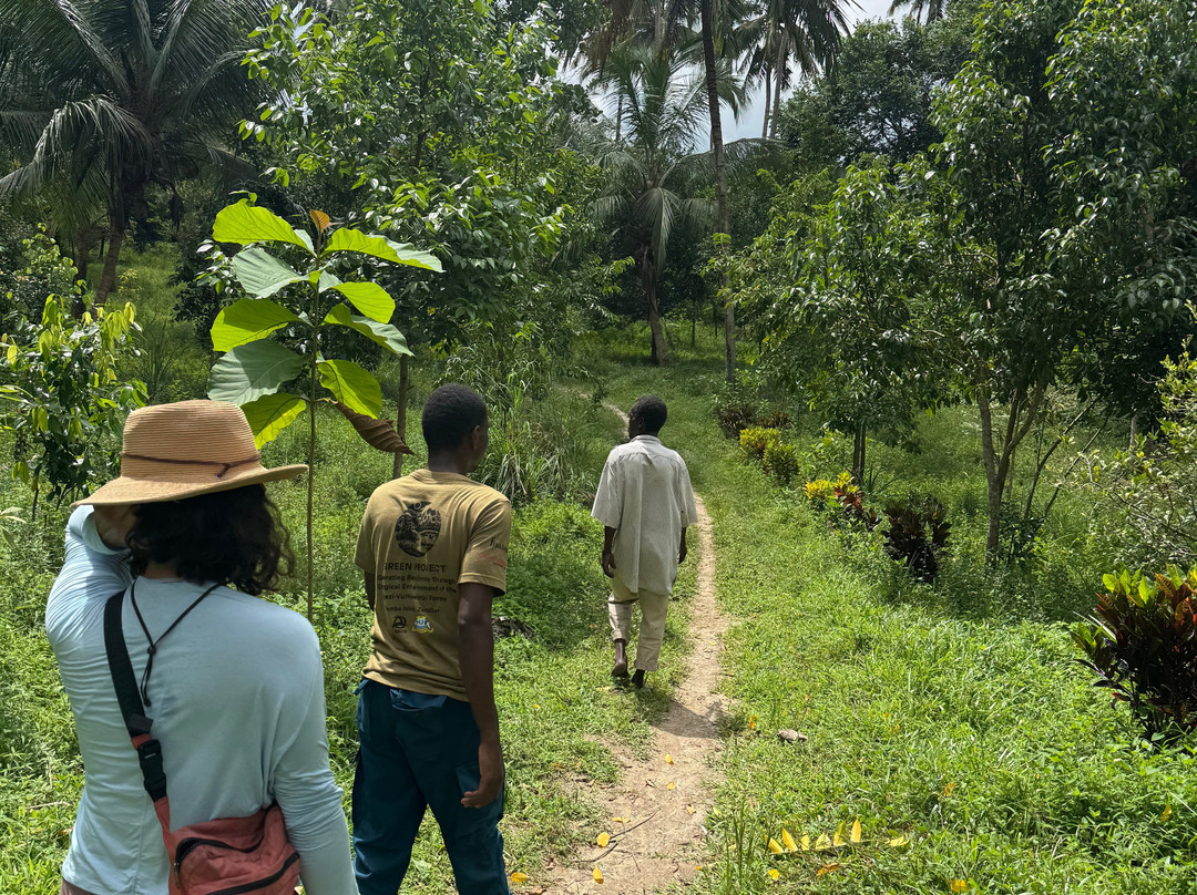Pemba Tours-奔巴岛必去景点