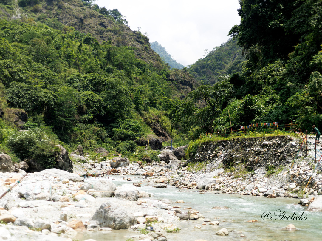Jayanti Forest-Jalpaiguri必去景点