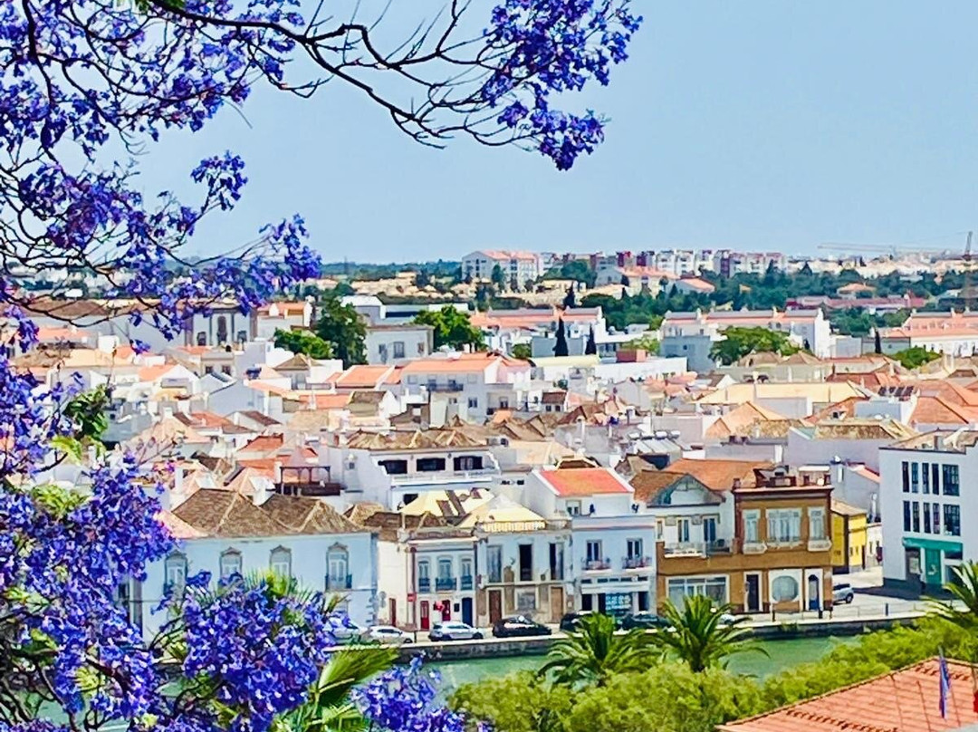 Jardim do Coreto-塔维拉必去景点