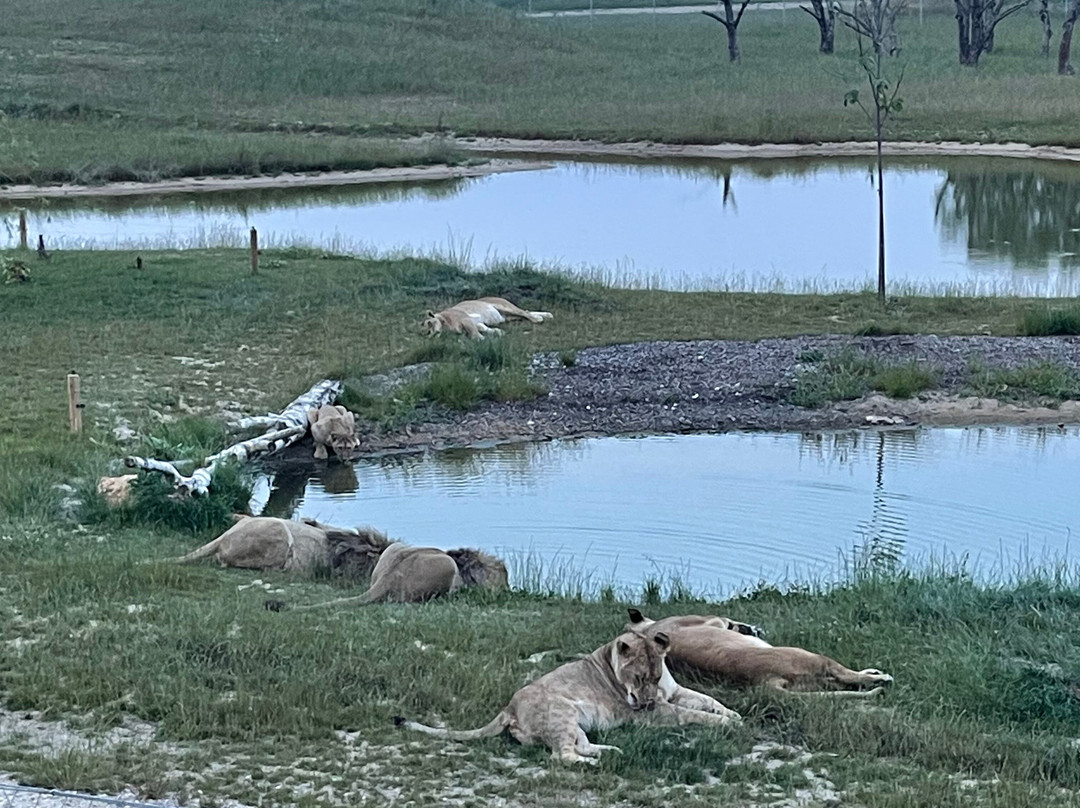 Lumigny Safari Reserve-Lumigny-Nesles-Ormeaux必去景点
