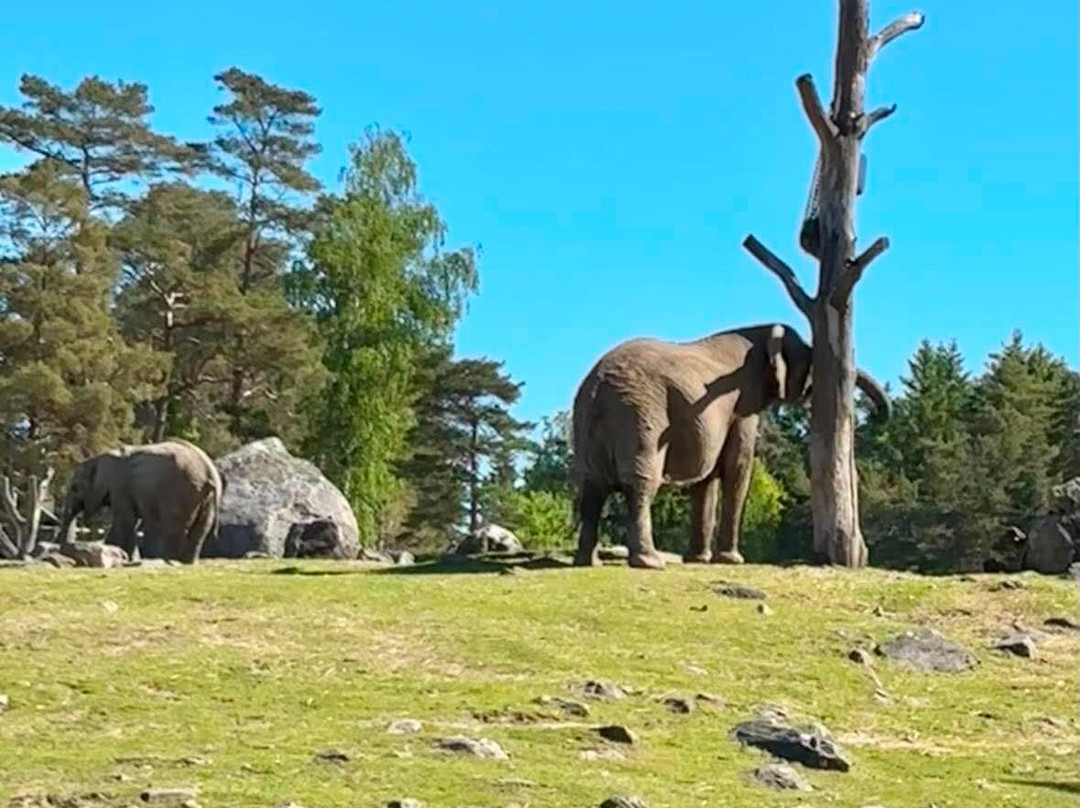 Borås Djurpark-Boras必去景点