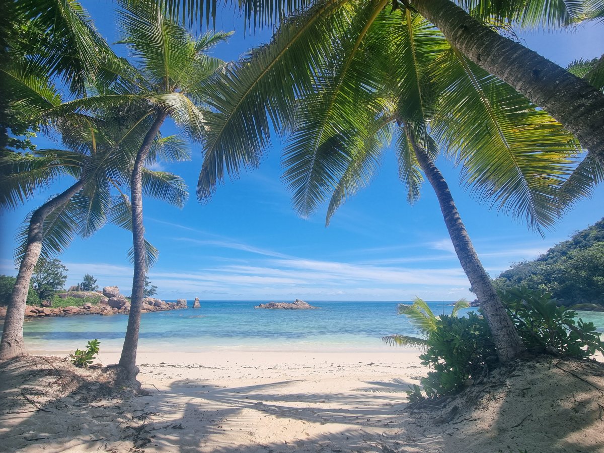塞舌尔康斯丹蕾沐莉亚酒店-旅行者