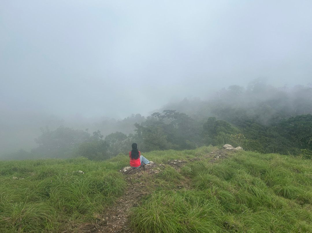 Ponmudi Hill Station-卡拉拉必去景点