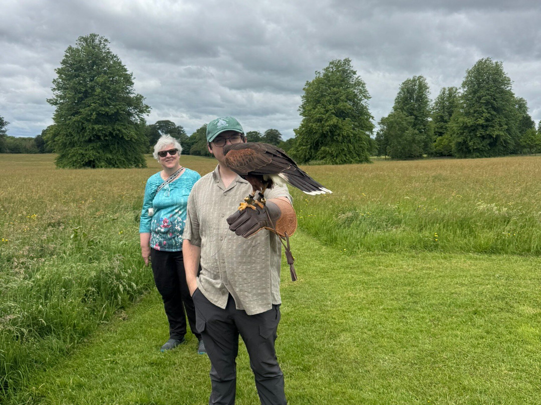 Hawkeye School of Falconry-基尔肯尼必去景点