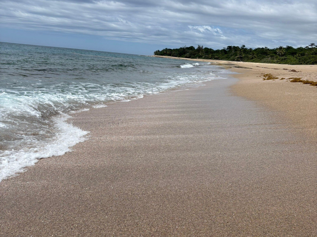 Survival Beach-Aguadilla必去景点