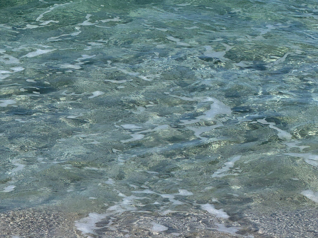 Zeus Beach-加里波利必去景点