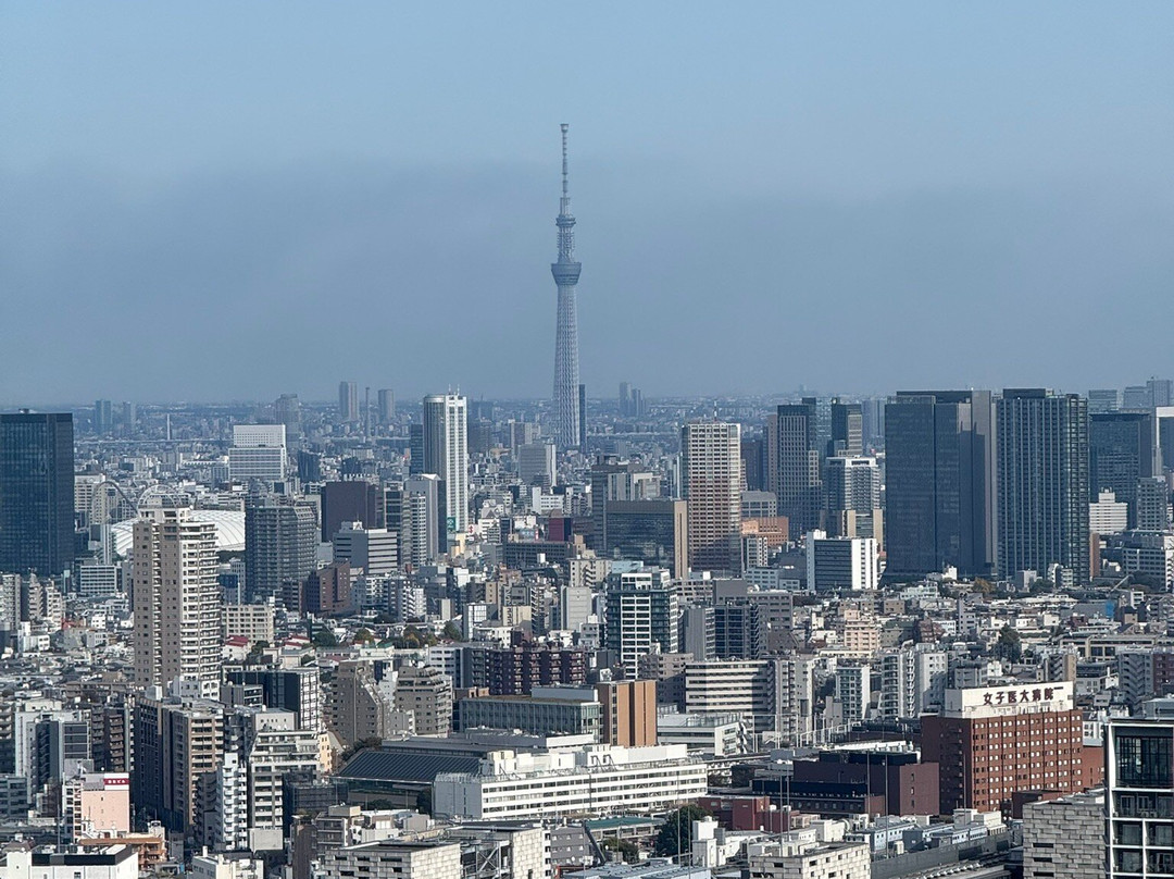 新宿宾乐雅环旅酒店主图