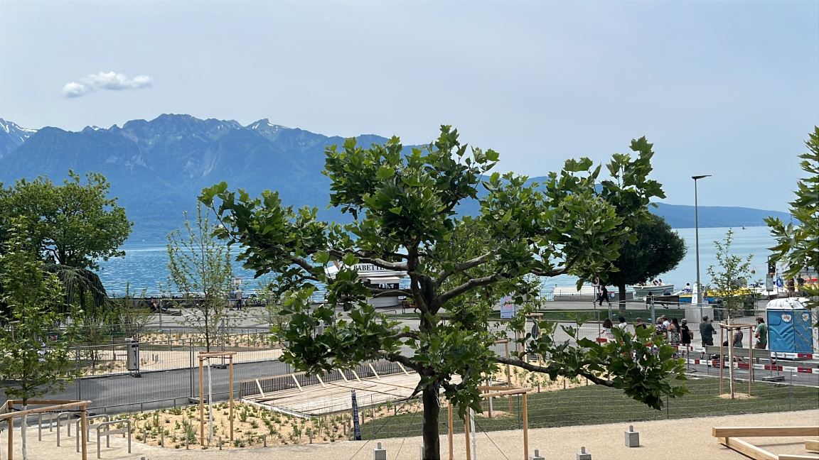 拉夏洛旅馆-旅行者