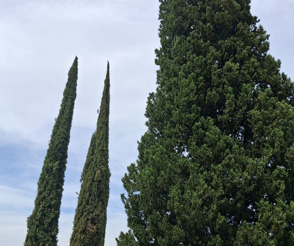 Sacrario Militare Di Redipuglia-Fogliano Redipuglia必去景点