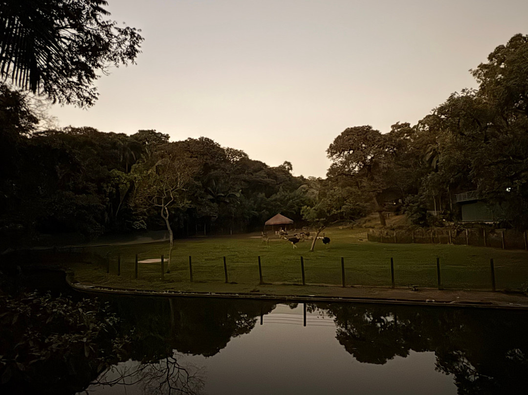 Zoologico De Sao Paulo-圣保罗必去景点