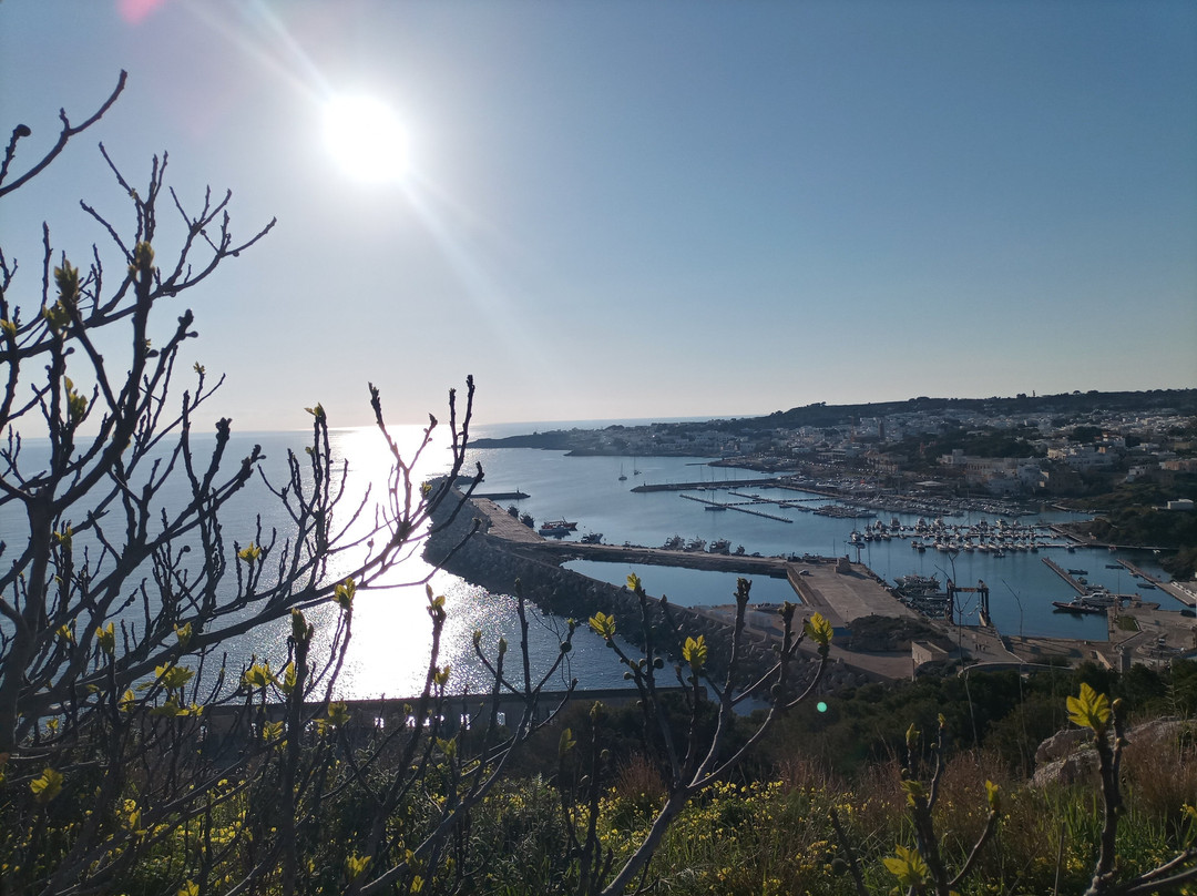 Santa Maria Di Leuca-Castrignano del Capo必去景点